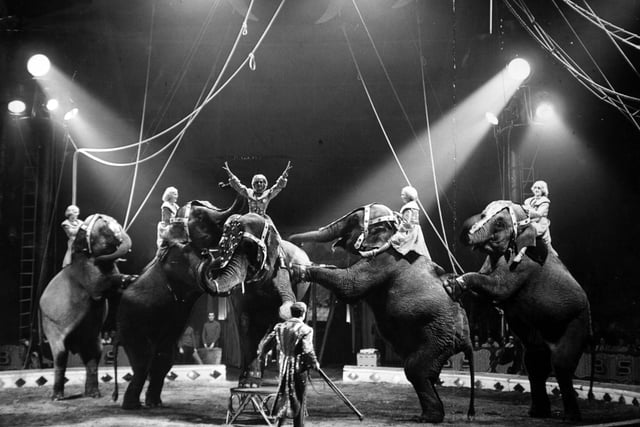 Yorkshire Evening Post photographer, Laurie Mercer, took these dramatically lit pictures during a performance at Smart's Circus on Woodhouse Moor in August 1960.