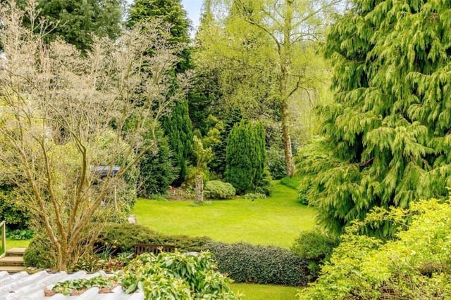 Evergreen gardens have a wide variety of trees and shrubs.
