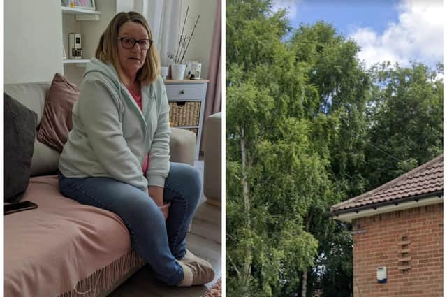 Julie White, 60, has pleaded with Leeds City Council to prune back the trees in the publicly-owned woodland next to her house.