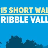 15 Short Walks in the Ribble Valley by Mark Sutcliffe