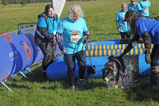 The Muddy Dog Challenge is a 2.5K and 5K obstacle course that you can take on with your dog by your side.