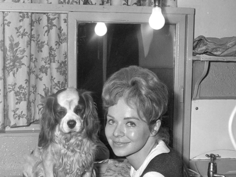 Actress Susannah York photographed at the Grand Theatre in November 1963. She was appearing in a new play Wings of the Dove, adapted from Henry James's novel. The production later moved to the West End.