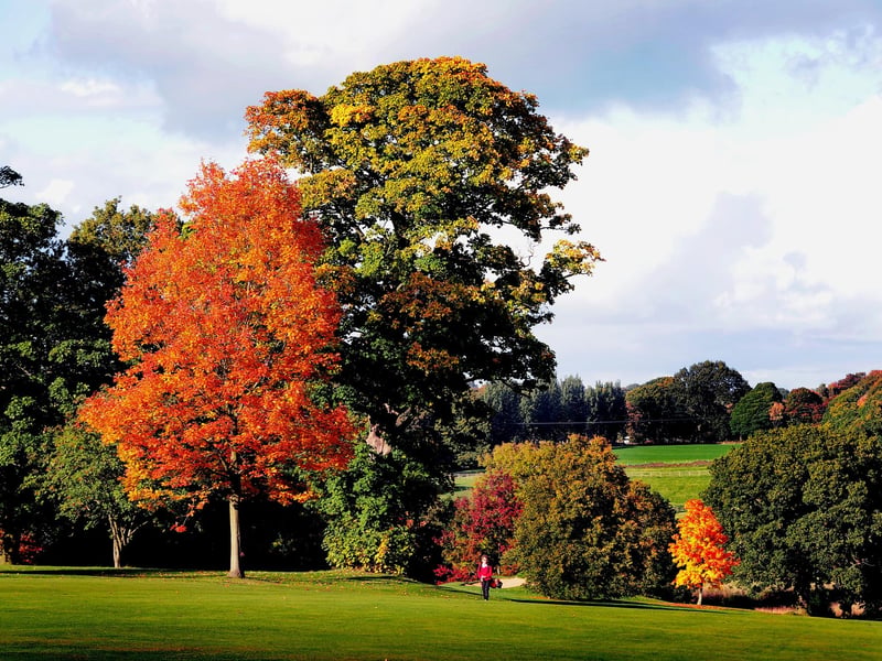 The average annual household income in Adel is £54,300, the third highest in Leeds.