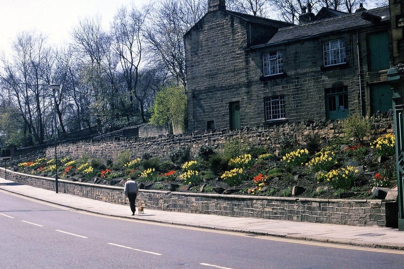 Part of Scatcherd Hill pictured in April 1971 that was cleared of old buildings to landscape the area. First the road was widened and double yellow lines put along the causeway edge. Then the causeway was widened and a new boundary wall built to enclose the sloping material of a new shrub and bulb garden. The upper part of that had another new wall to run along the edge of the road running back to Dawson Hill. This served as car parking space for either visitors to the house (Dawson House) or when change of use occurred for patrons for the restaurants. Much of the outline of the old rag warehouse has been retained.