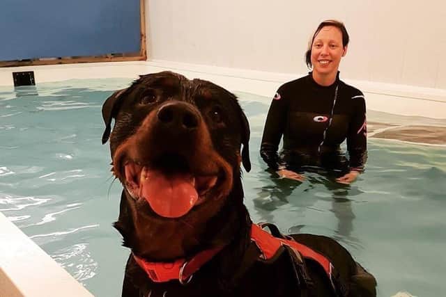 Hydro Paws, on Ackroyd Street, treats animals with conditions including spinal injuries using specialist pools and water treadmills.
