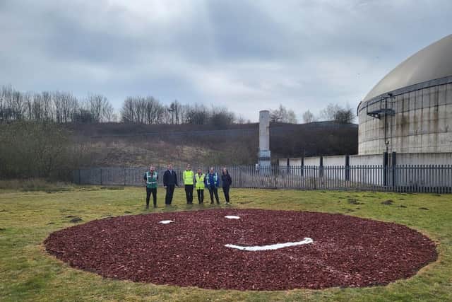 CorrBoard's Comic Relief challenge in creating the UK's only red nose that grows.