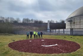 CorrBoard's Comic Relief challenge in creating the UK's only red nose that grows.