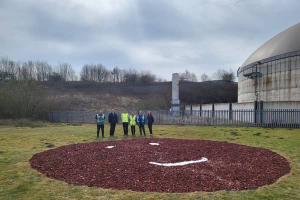 CorrBoard's Comic Relief challenge in creating the UK's only red nose that grows.