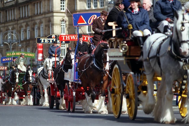Traditional horse power returns to Vicar Lane, in Leeds city centre, to celebrate the fourth anniversary of Tetley's Brewery Wharf in 2005.