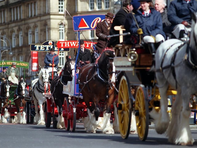 Traditional horse power returns to Vicar Lane, in Leeds city centre, to celebrate the fourth anniversary of Tetley's Brewery Wharf in 2005.