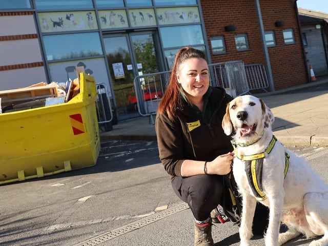 Milo, a two-year-old Pointer crossbreed who is currently available for adoption, wanted to let you all know that the rehoming centre is currently having some building work done on the reception area.
This means that for the next ten weeks any visitors to the centre should use the temporary reception, which can be found a few metres to the right of the usual entrance.
