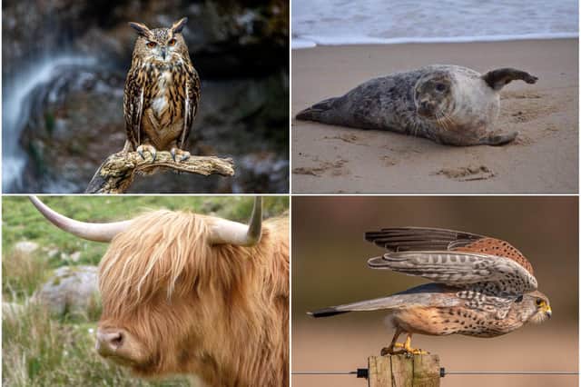 Readers have been sharing their favourite pictures for World Wildlife Day.