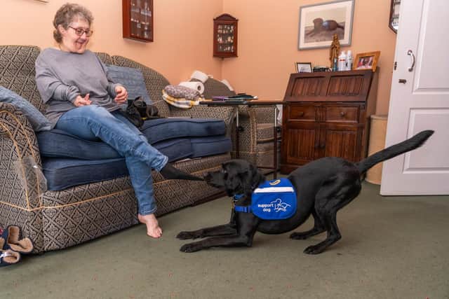 Support dog Gordon helps Amanda Radforth to get dressed