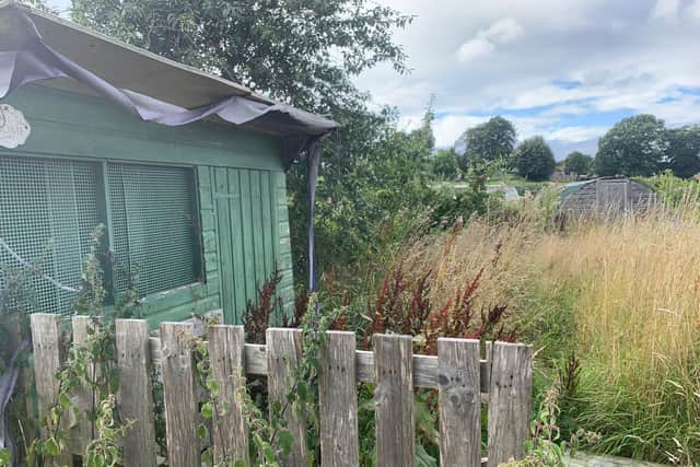 Ian Turner has requested the council to be "more transparent" with information about allotment sites in the city. Photo: Ian Turner