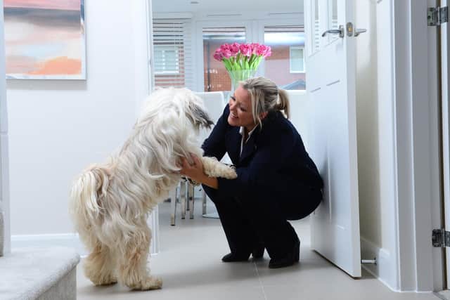 BG - A dog settling into its new home