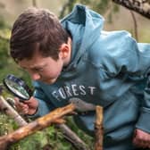 Forest Holidays launches Ugly Bug Hunts to encourage children to get outdoors.