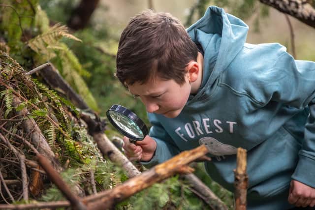 Forest Holidays launches Ugly Bug Hunts to encourage children to get outdoors.