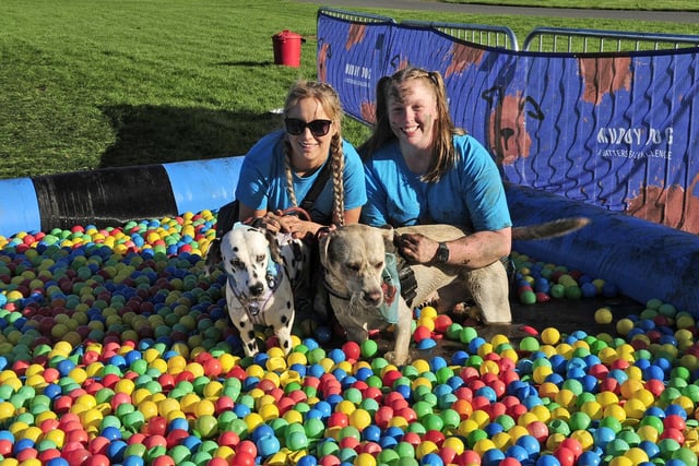 Alison Clarkson and OLIVIA O'Sullivan with Ella and Buster in the ball pool.