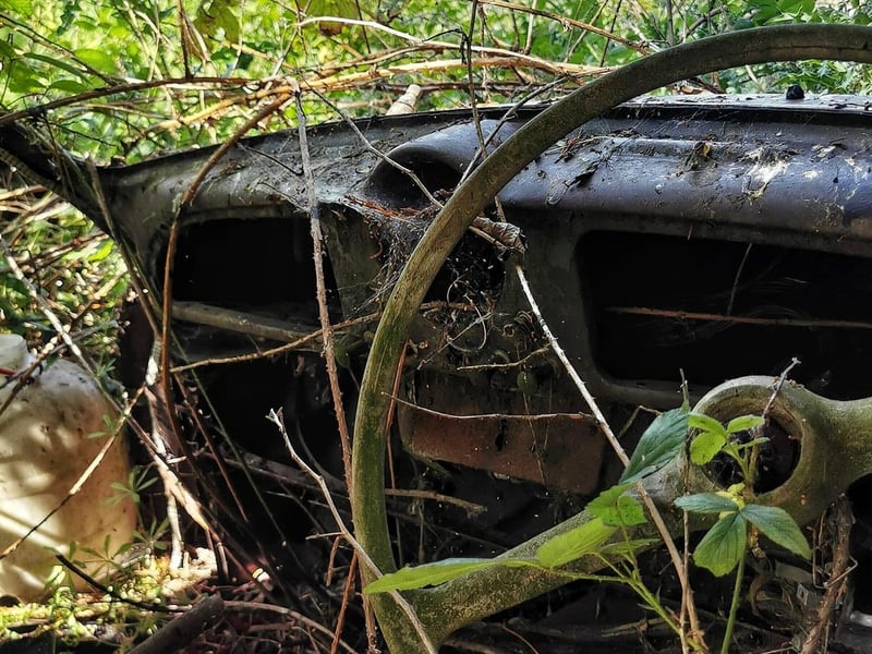 The overgrown and rotting remains of a mysterious car cemetery remain in Wakefield.