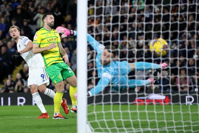 WHITES HOPE: Surrounding striker Patrick Bamford, left, pictured scoring the only goal of the game in January's Championship clash against Norwich City at Elland Road. Photo by Clive Brunskill/Getty Images.