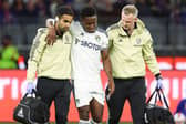 Luis Sinisterra picked up a 'little hamstring injury' against Crystal Palace (Photo by Matthew Ashton - AMA/Getty Images)