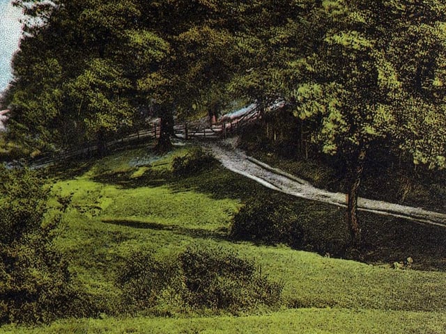 A colour-tinted postcard with a postmark of August 26, 1904 showing Pollard's Wood, an L-shaped stretch of woodland running parallel to what is now Lincombe Drive in Gledhow. It was locally known as Pollard's Wood after the Pollard family who owned Allerton Grange Farm, on whose land the wood was located.
