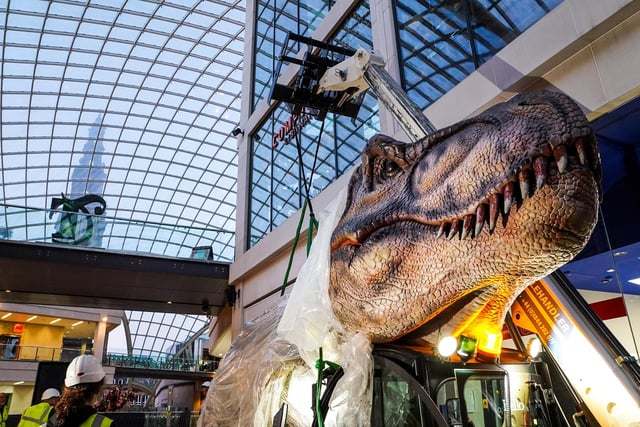 The Leeds Jurassic Trail runs from July 30 to September 4.