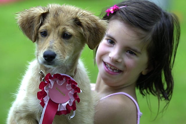 Kasper, pictured with seven-year-old owner Aimee Plumler, was voted cutest at the dog show.