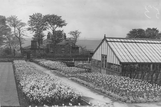 A bulb display at Cliff Park with a large greenhouse to the right in 1937. In the background is the rear of Cliff House, which was home to the Cliff family from whom Leeds Corporation acquired the land on which Cliff Park and the adjacent Western Flatts Park are situated. Cliff House itself was gifted to the council in 1929 and initially becan a juvenile remand home, then from 1966 to 1998 was Newcliffe House Special School, a boarding school for boys.