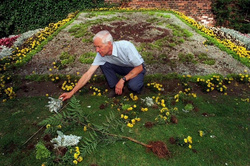 Vandals smashed the anniversary floral display at Canal Gardens in Roundhay Park in August 1996. Pictured is assistant manager for Roundhay Park, Ron Ginnelly, assessing the damage to some of the 20,000 plants used for the display.
