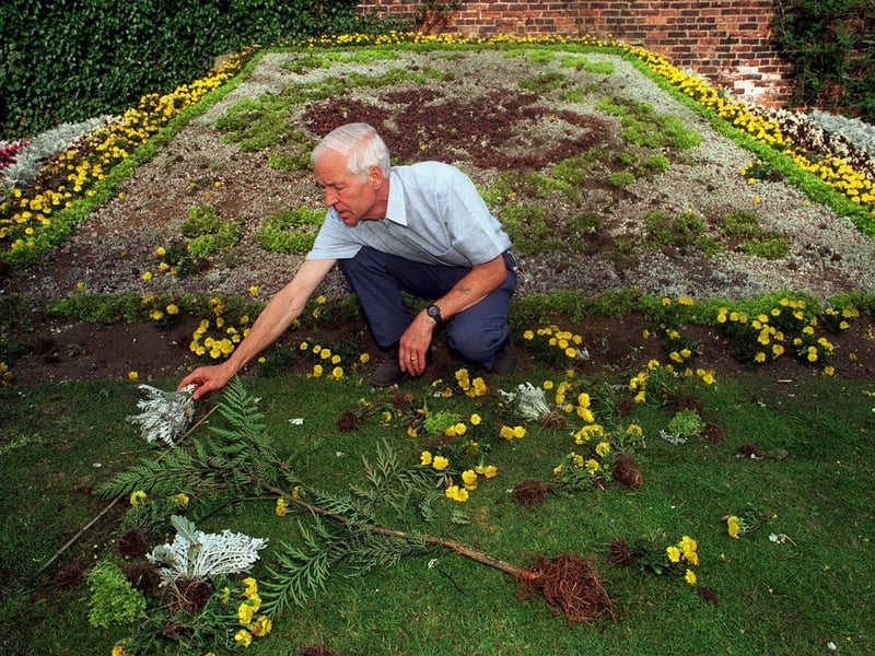 Vandals smashed the anniversary floral display at Canal Gardens in Roundhay Park in August 1996. Pictured is assistant manager for Roundhay Park, Ron Ginnelly, assessing the damage to some of the 20,000 plants used for the display.