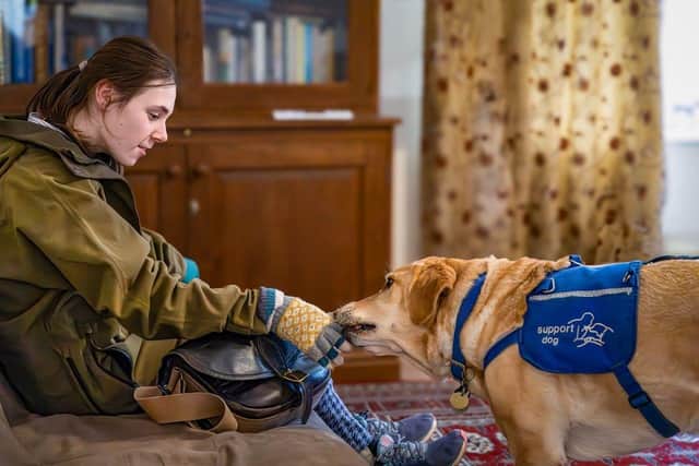 Disability assistance support dog Chess helps Molly to remove her gloves