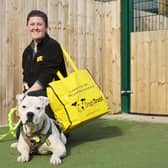 The team at the York Road Rehoming centre in Leeds have had another busy month with 52 dogs, like Pablo photographed here, leaving the centre already in March. It’s been a complete mix of dogs of all shapes and sizes and they’re all settling well in their forever homes.