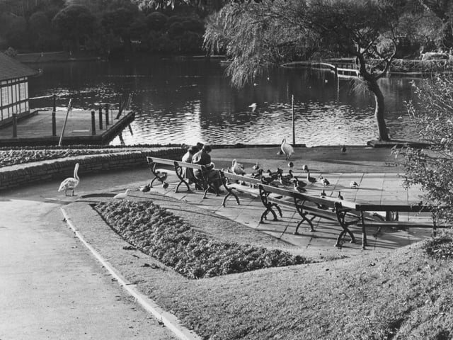 Peasholm Park pictured in November 1980.