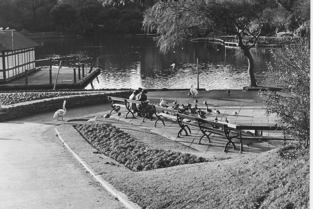 Peasholm Park pictured in November 1980.