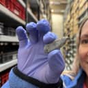 Kat Baxter, Leeds Museums and Galleries’ curator of archaeology