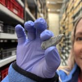 Kat Baxter, Leeds Museums and Galleries’ curator of archaeology