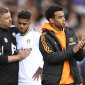 HELPLESS: Tyler Adams to Leeds United's cause since injuring his hamstring in March. Photo by OLI SCARFF/AFP via Getty Images.