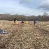 Amazon Wakefield team supports tree-planting project