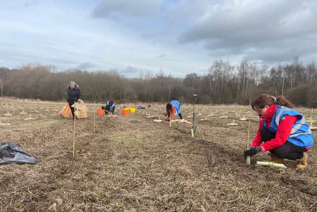 Amazon Wakefield team supports tree-planting project
