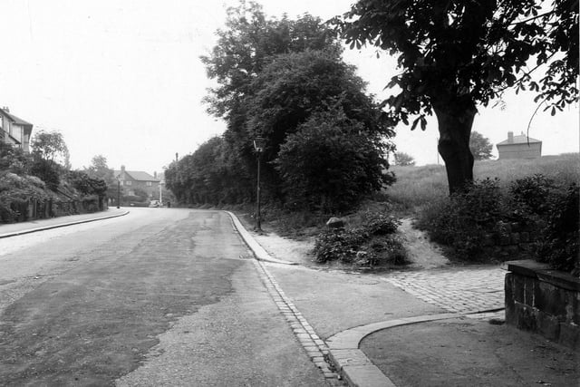 Aview along Stainbeck Lane from near Stainbeck Gardens. Semi-detached houses and gardens, open green space to the right. Pictured in July 1951.