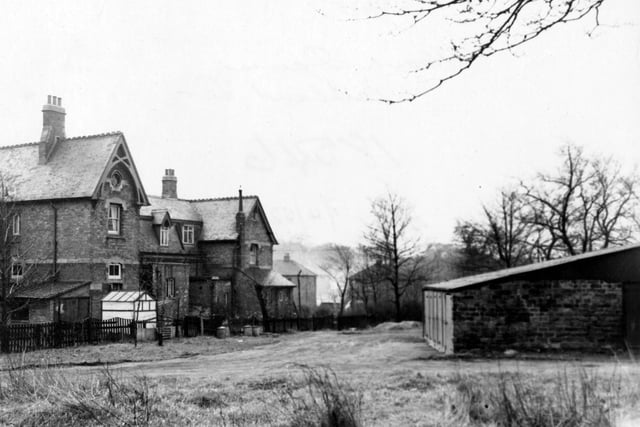 Back of a block of ten flats on Parkland Terrace in March 1952. Originally the whole block were the stables and grooms quarters belonging to the owner of Meanwood Towers.
