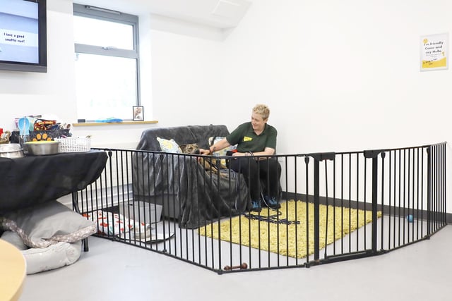 The rehoming centre recently had the reception area refurbished which includes a new play pen where staff bring some of the dogs to help them get used to meeting new people. This means that during the centre’s open times, people are very likely to be able to meet some of the pooches. You can visit Dogs Trust Leeds on a Monday, Tuesday, Thursday, Saturday, and Sunday between 12pm – 4pm to take a look around and chat to the team about adopting.