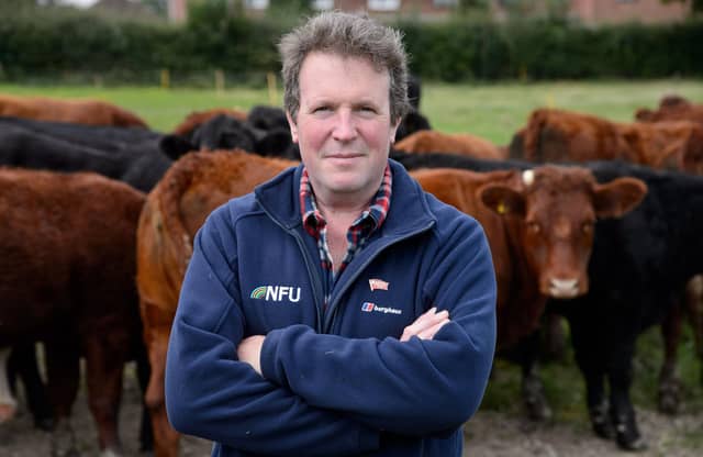 Beef farmer Adam Quinney