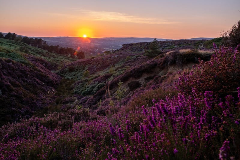 The breath-taking landscapes of Ilkley Moor come to life at Christmas. Enjoy a scenic walk in the lead-up to the big day and see the beautiful Cow and Calf landmark. After a winter walk, drop in to Bettys Tea Room for quintessentially Christmassy treats. There's also a bustling street market and award-winning bakeries to explore. A train from Leeds to Ilkley takes about 25 minutes, or you could opt for a scenic bus ride which takes about an hour.