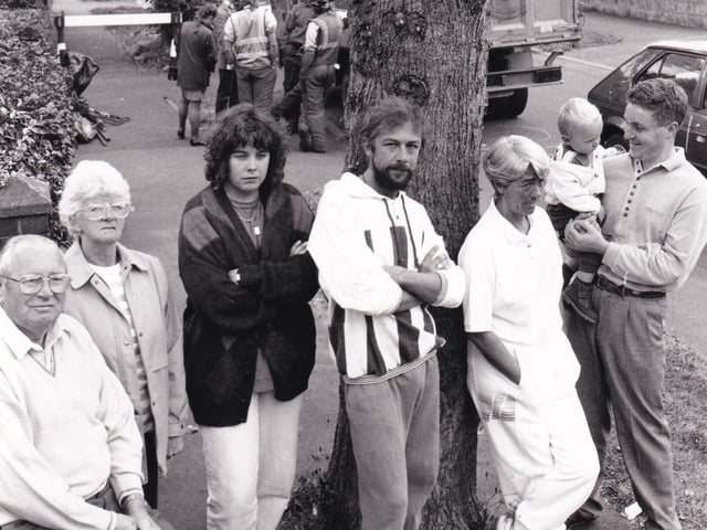 Tearful protestors failed in an 11th hour bid to save council workmen from axing an 80ft lime tree in their street in September 1993. Objectors on Fearnville Terrace were forced to back off when they were threatened with arrest by two police officers.