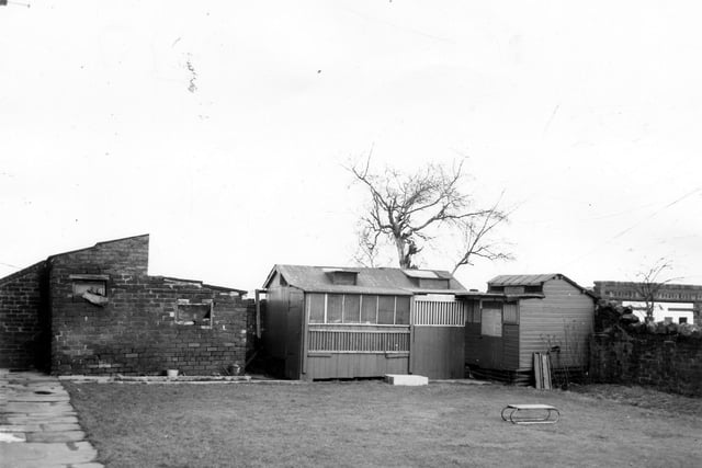 Pigeon loft in the garden of of a house on Nutting Grove Terrace in March 1956.