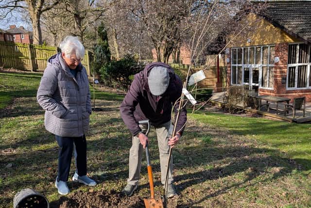 Residents Betty and Paul help put the trees in the ground