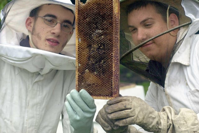 Garforth Community College pupils took part in a food and farming challenge at the Great Yorkshire Show, by producing organic honey. Pictured are students George Jones (left) and Gavin Slattery checking the honey.