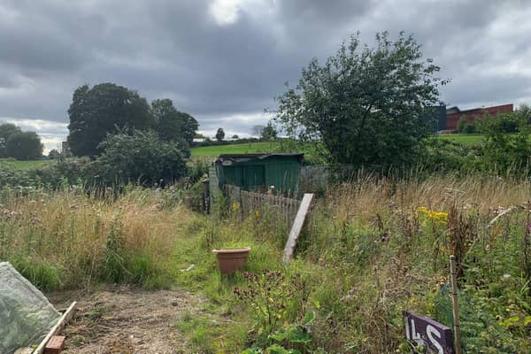 Ian Turner said that there are "14 or 15" plots on the allotments site in Seacroft that have been left "neglected". Photo: Ian Turner